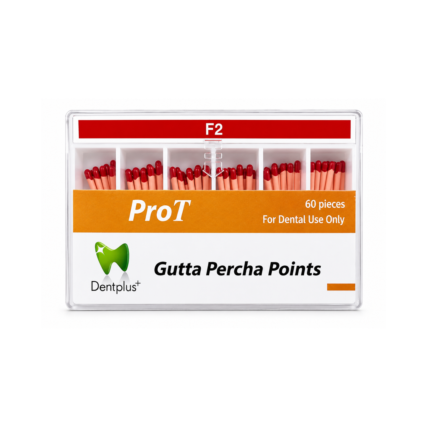 Gutta Percha DentPlus